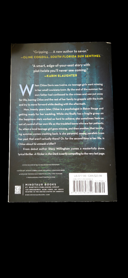 Flicker in the Dark by Stacy Willingham