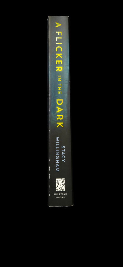Flicker in the Dark by Stacy Willingham