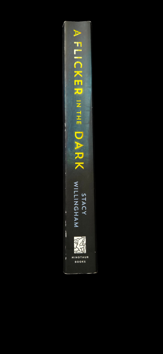 Flicker in the Dark by Stacy Willingham