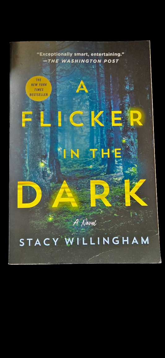 Flicker in the Dark by Stacy Willingham